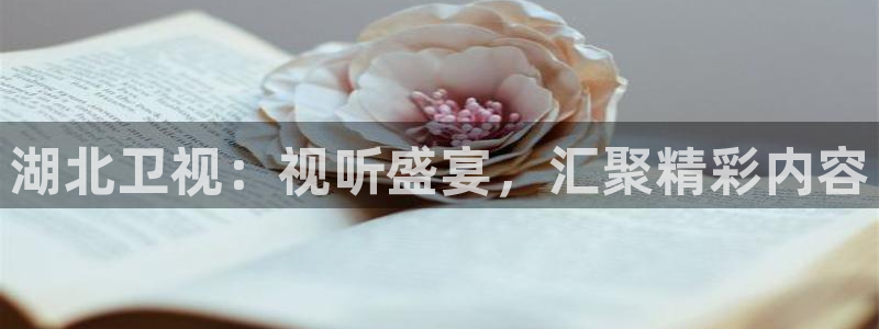 飘花网：湖北卫视：视听盛宴，汇聚精彩内容