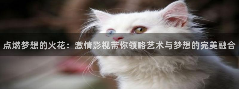 飘花电影网第八影院：点燃梦想的火花：激情影视带你领略艺术与梦想的完美融合