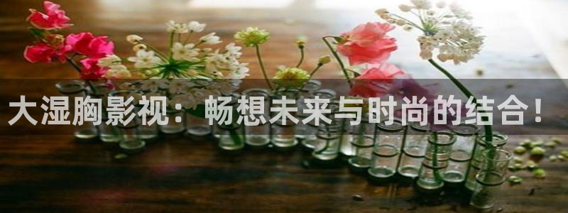 飘花影院在线：大湿胸影视：畅想未来与时尚的结合！