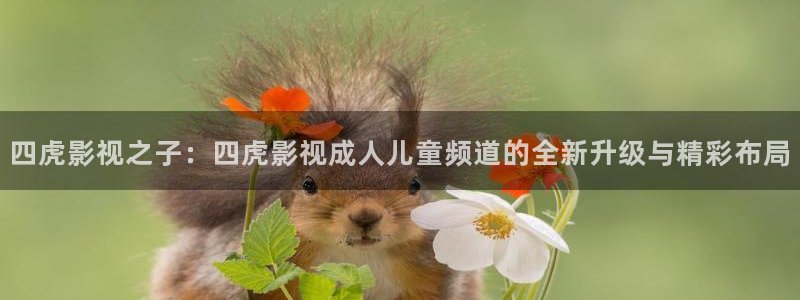 午夜电影网飘花：四虎影视之子：四虎影视成人儿童频道的全新升级与精彩布局