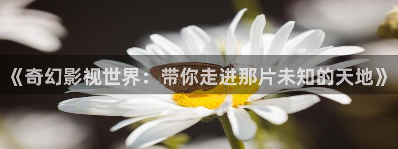 飘花电影天堂：《奇幻影视世界：带你走进那片未知的天地》